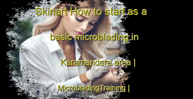 Skinart How to start as a basic microblading in Karamandere area | MicrobladingTraining | MicrobladingClasses | SkinartTraining-Turkey